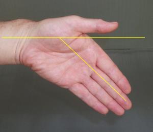 4 wrist flexed paint