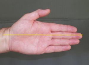 6 wrist straight paint