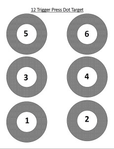 12 Trigger Press dry practice target