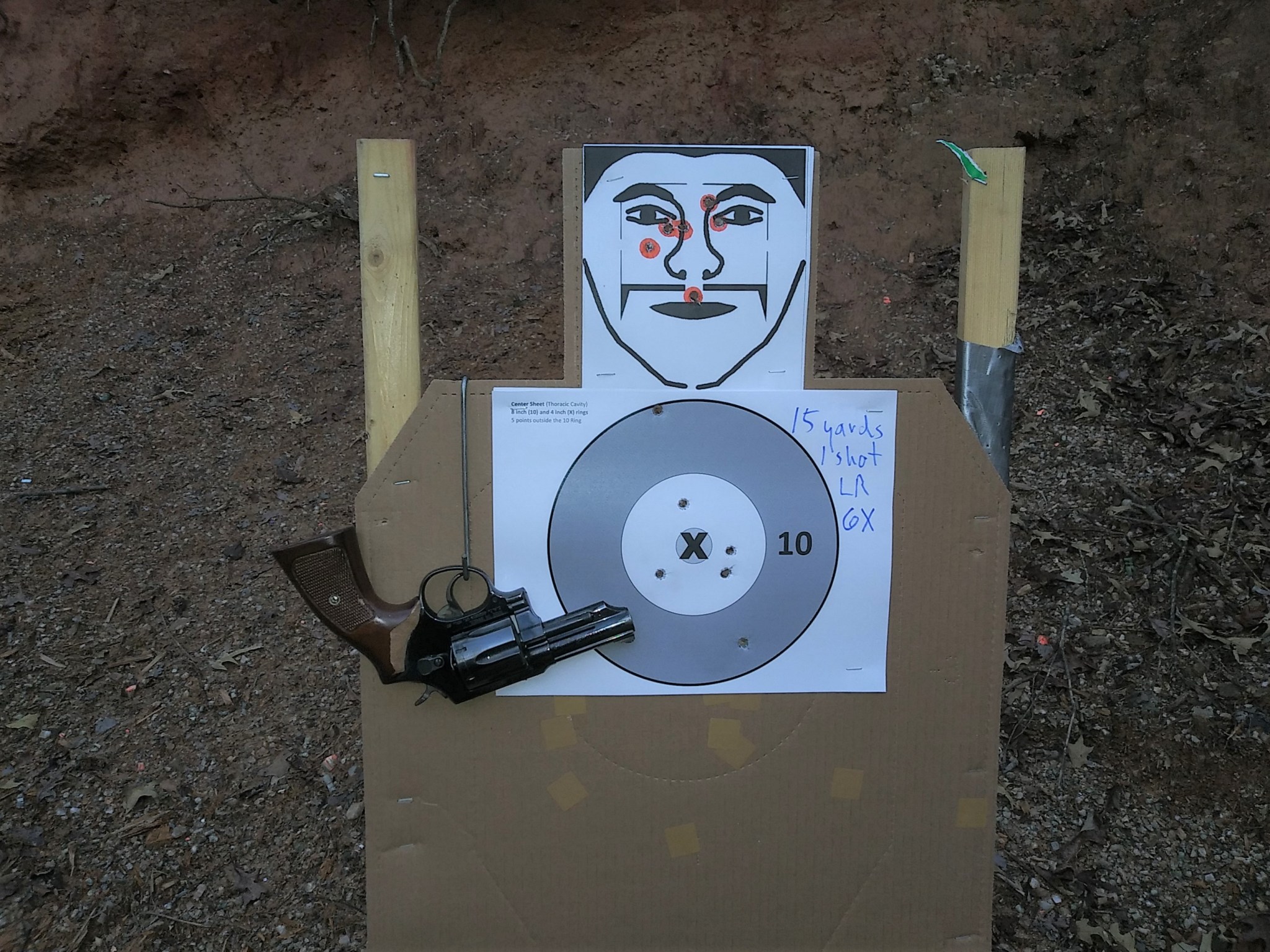 Taurus 82 15 yards