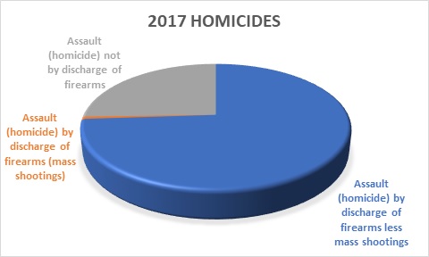 2017 homicides
