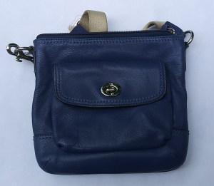 little blue purse